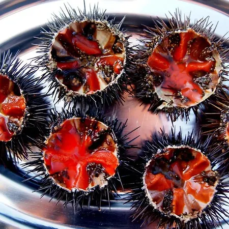 Appartement Lozari Belgodère