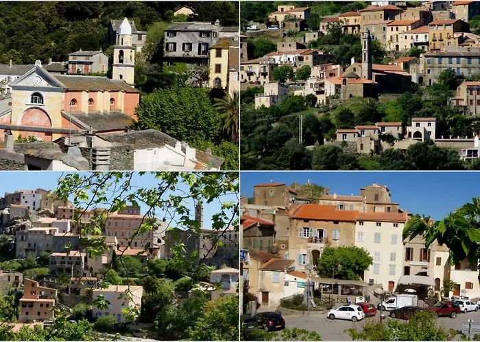 Lozari *