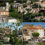 Lozari *