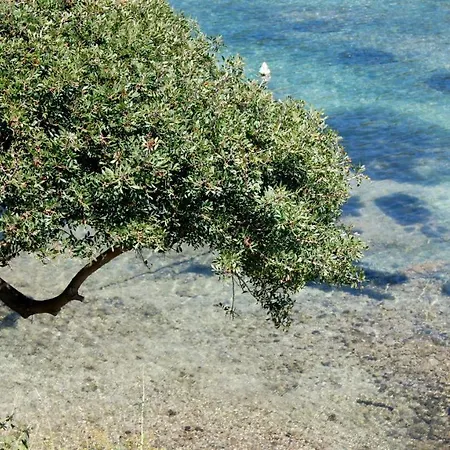 Lozari Apartment Belgodère