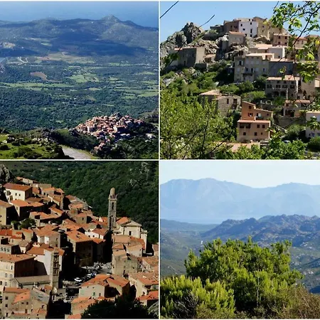 Lozari