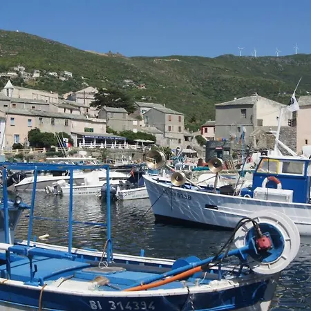 Apartment Lozari Belgodere (Corsica)