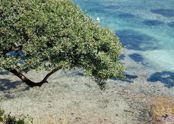 Lozari Apartmán Belgodère