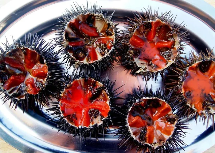 Apartmán Lozari Belgodère