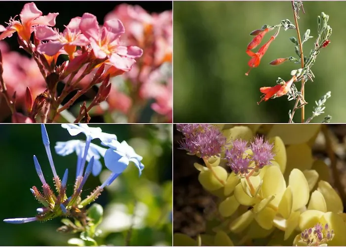 Apartmán Lozari Belgodère